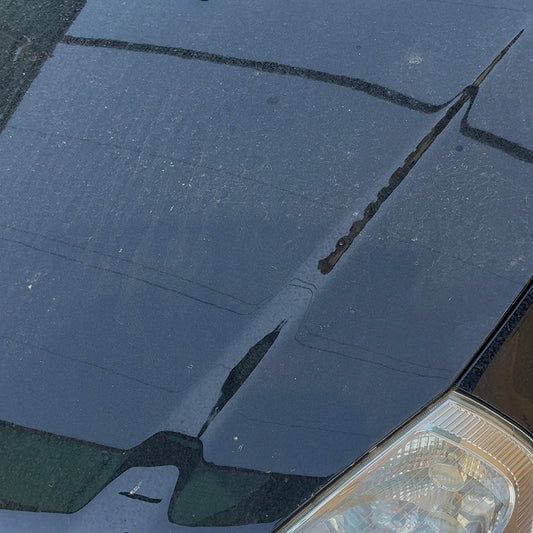 ECOSHINE